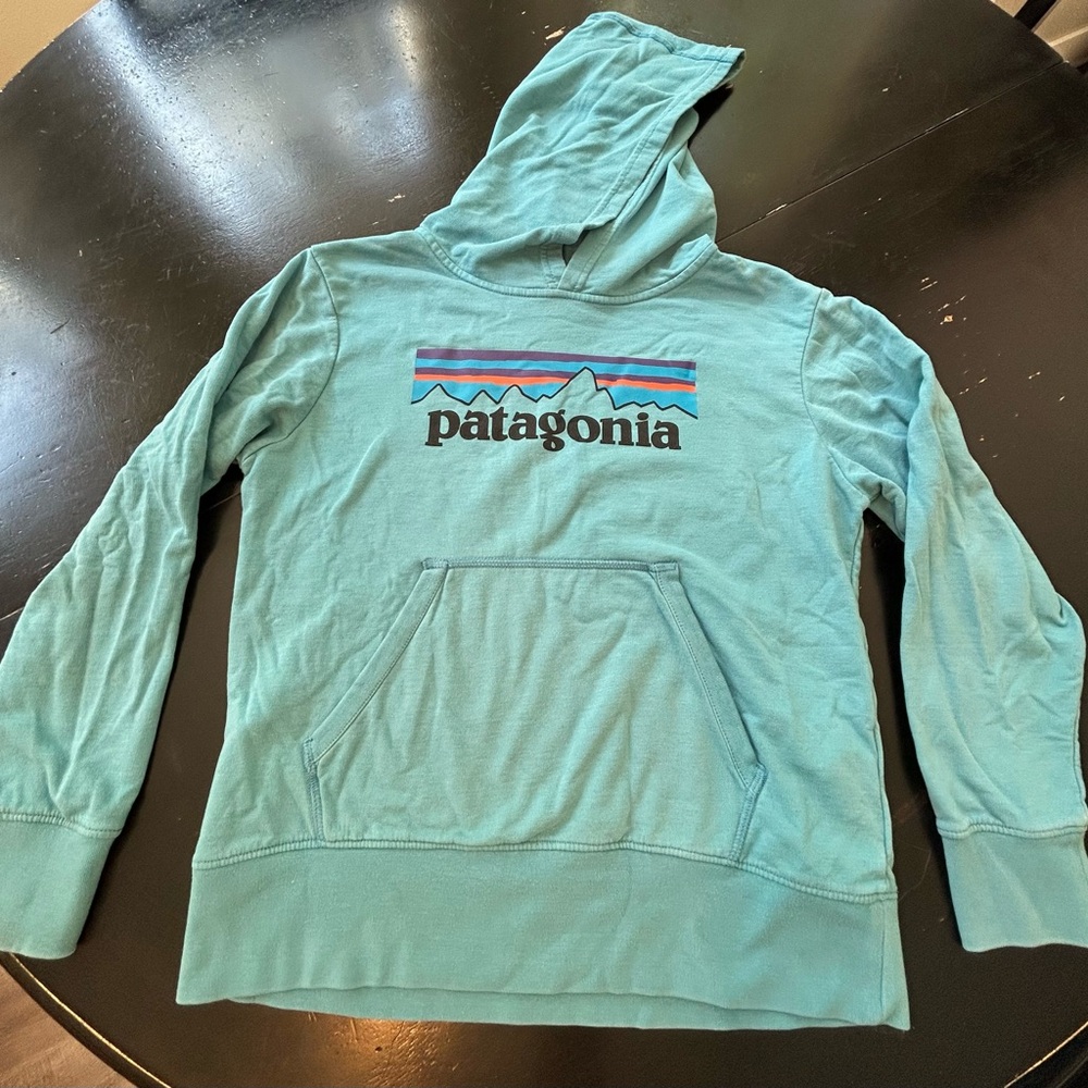 Patagonia Aqua Blue Kids Hoodie